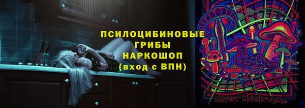 гидра Бородино