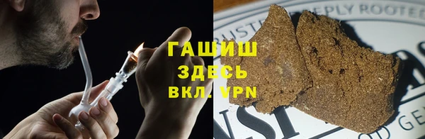 гидра Бородино