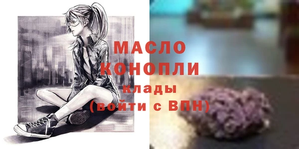крисы Сатка