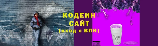 гидра Бородино