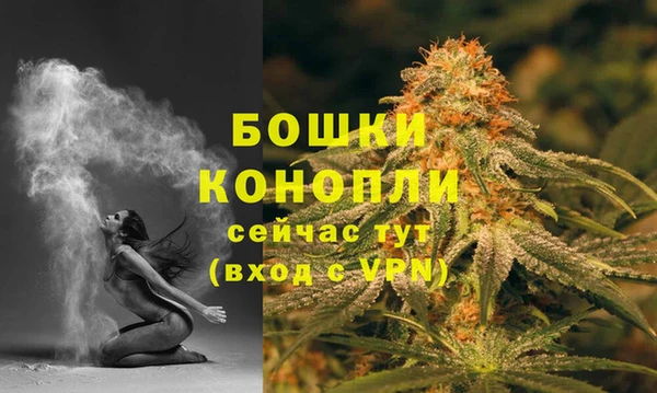 гидра Бородино