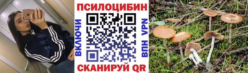 Галлюциногенные грибы ЛСД  Катайск 